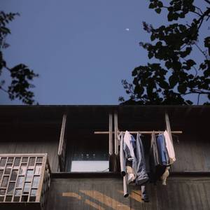 麻豆丰满少妇Chinese玩弄
